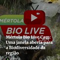 Screenshot 2024-06-11 at 12-35-04 Mértola Bio Live Cam Uma janela aberta para a Biodiversidade da região - A Planície.png